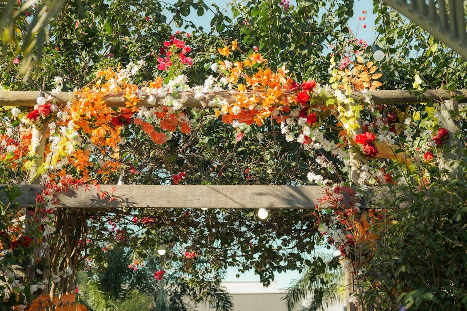 Moderne DIY pergola-constructie met schaduwzeilen Moderne DIY pergola-constructie met schaduwzeilen