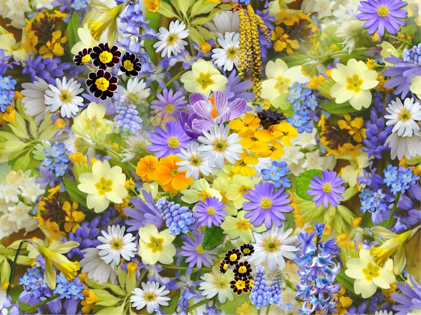 Modern interieur met bloemenpatroon tapijt. Modern interieur met bloemenpatroon tapijt.