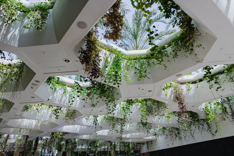 Woonkamer ontwerp met natuurlijk licht en planten. Woonkamer ontwerp met natuurlijk licht en planten.