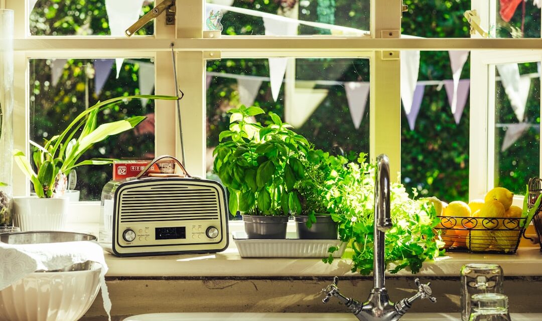 Eenvoudige swaps: groenere keuzes voor dagelijkse producten in huis