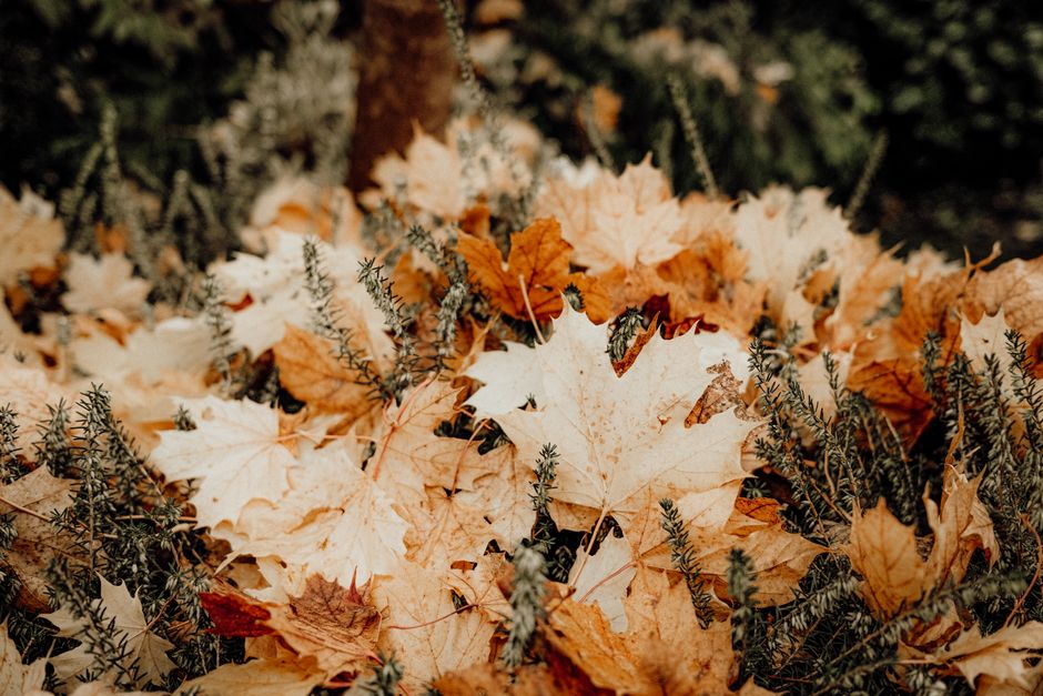 Hoek met herfstdecoratie en warme tinten.