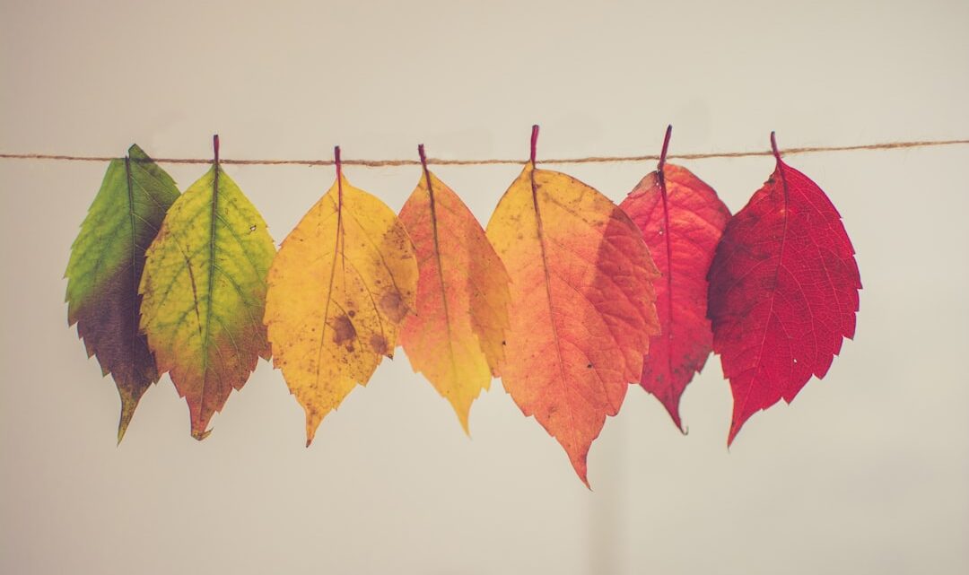 Herfstkleuren in interieur: breng warmte in je huis