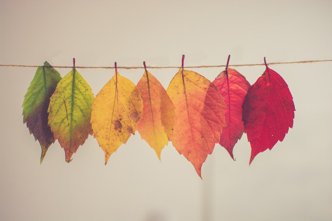 Herfstkleuren kussens op een grijze bank.