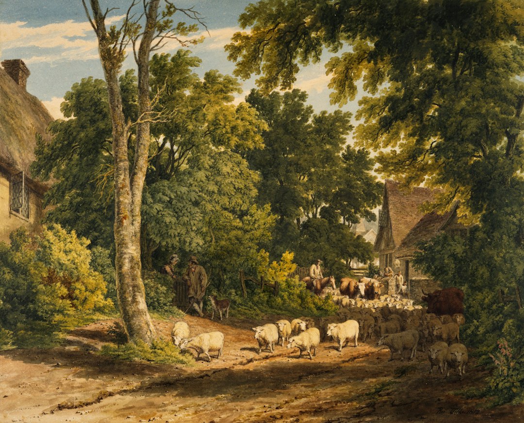 Schaapschilderij met kalme weidelandschap en kudde. Schaapschilderij met kalme weidelandschap en kudde.